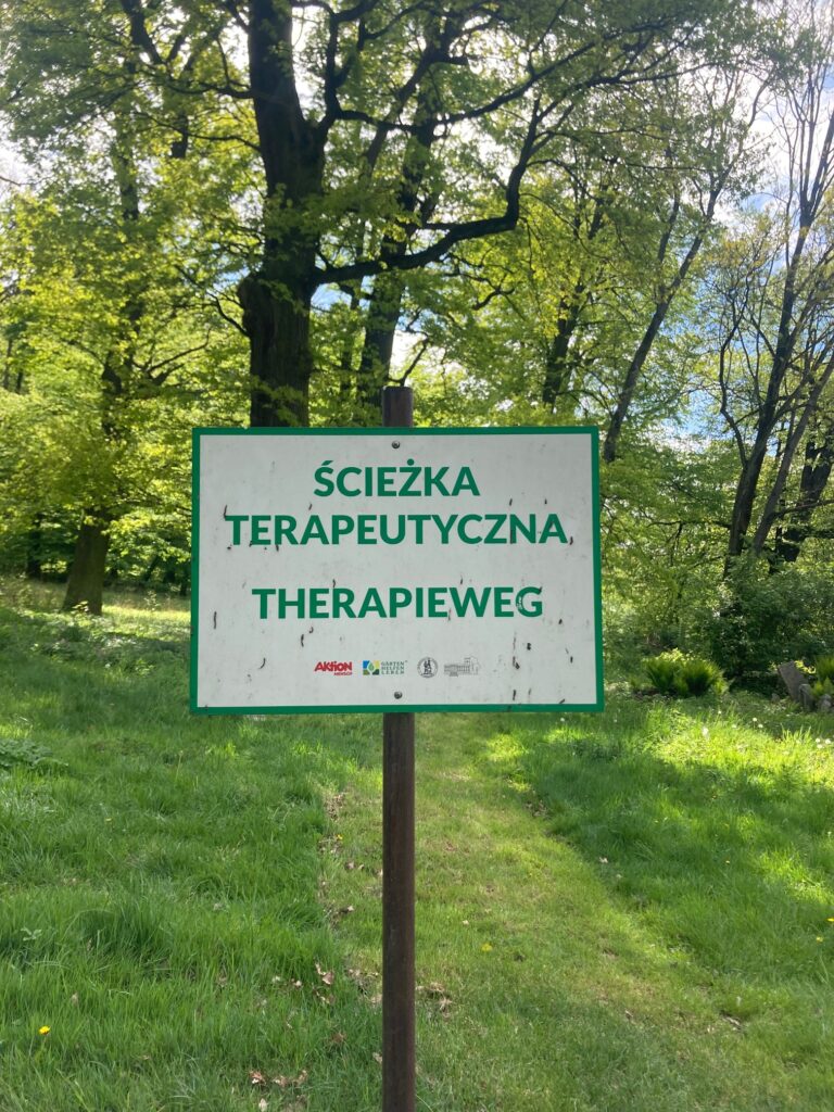 Terapeutka czaszkowo-krzyżowa na kursie Somatic Experiencing 